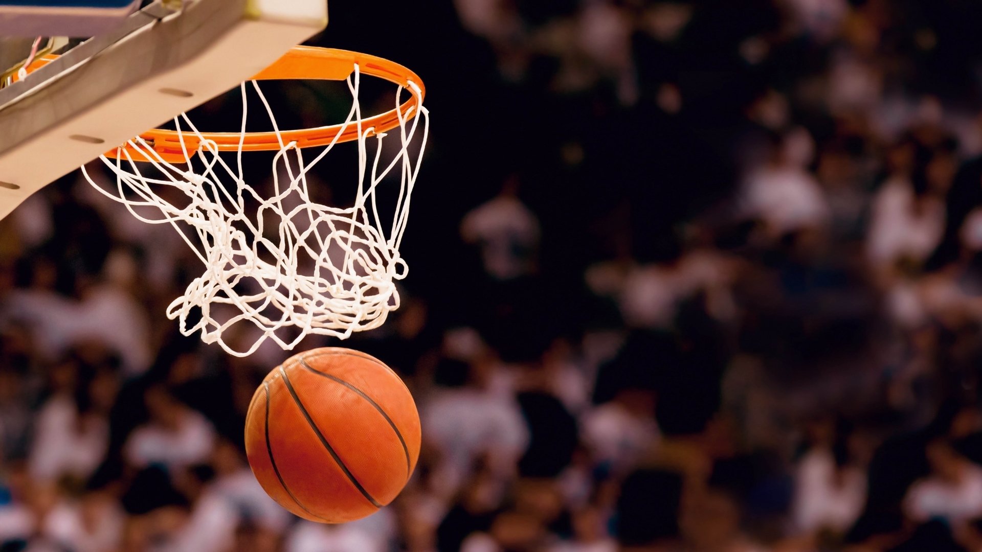 NBA总决赛惊现浙江队?掘金最后时刻绝杀,这剧本谁写的?